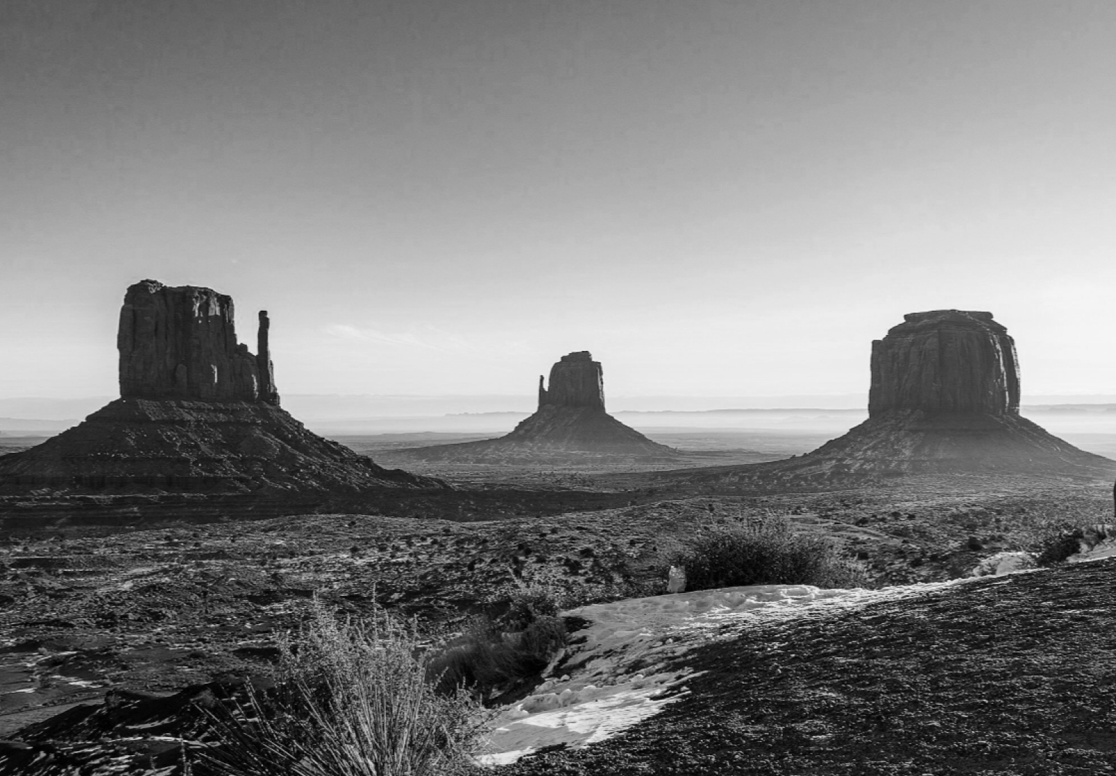 Open Range | Historic Prints, Durable Demand